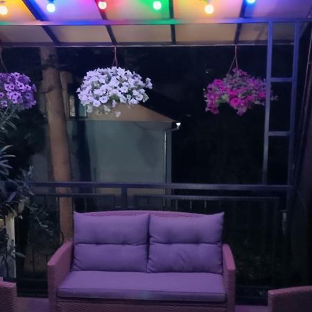 Rb Apartment 1 Palić Zewnętrze zdjęcie