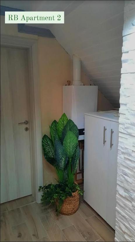 Rb Apartment 1 Palić Zewnętrze zdjęcie