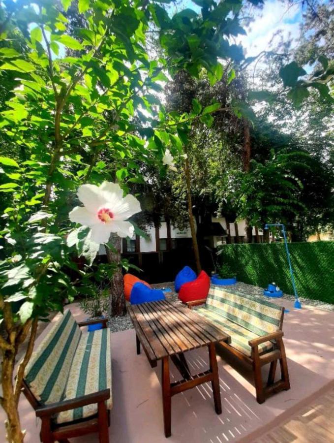 Rb Apartment 1 Palić Zewnętrze zdjęcie