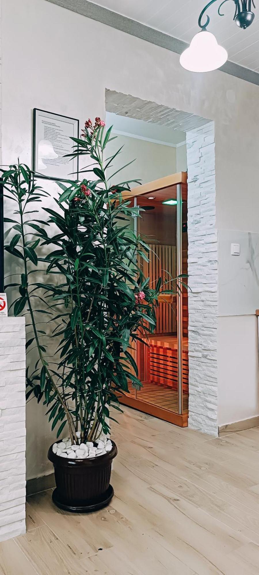 Rb Apartment 1 Palić Zewnętrze zdjęcie