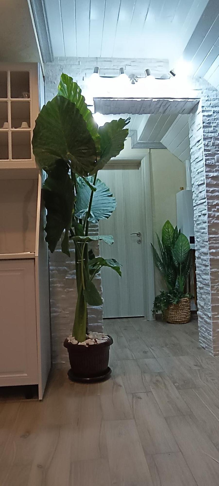 Rb Apartment 1 Palić Zewnętrze zdjęcie